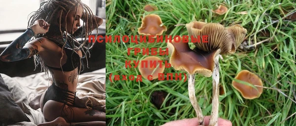 таблы Вяземский